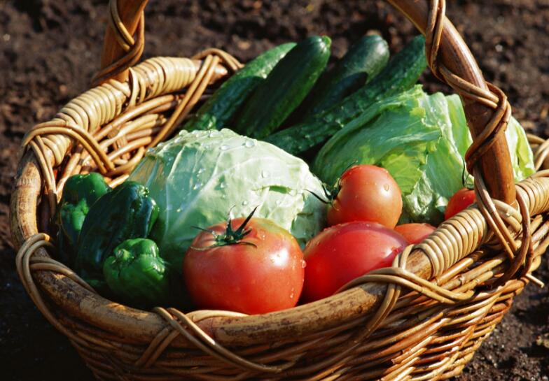 教你新鲜蔬菜的正确保存方法