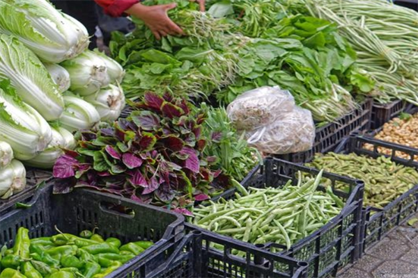 重庆蔬菜配送——从田间到厨房的蔬菜绿色之旅